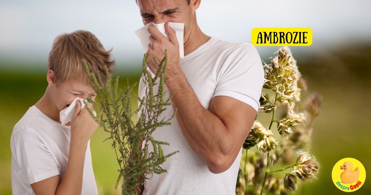 Pe urmele ambroziei: intelegerea impactului acestei buruieni, identificarea simptomelor alergiei si diagnosticarea alergiei
