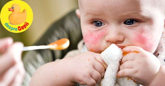 Alergiile La Bebelusi Tot Ce Trebuie Sa Stii Desprecopii Com