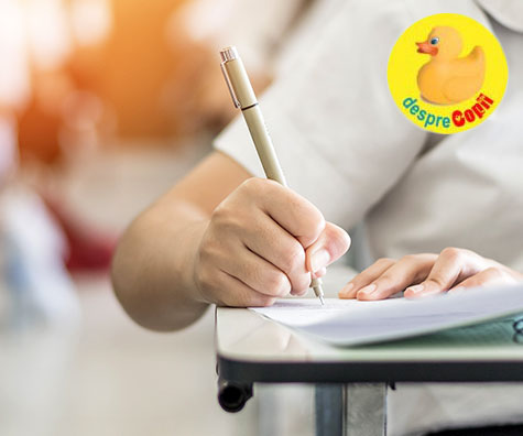 Structura anului scolar 2019-2020