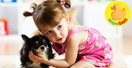 Ce animal de companie ar trebui sa adopte familia ta? Iata 9 animalute cu pro si contra