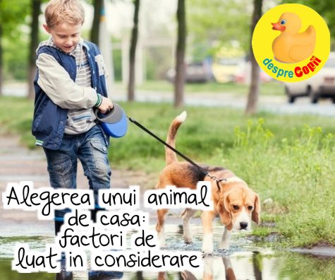 Alegerea unui animal de casa: factori esentiali de luat in considerare