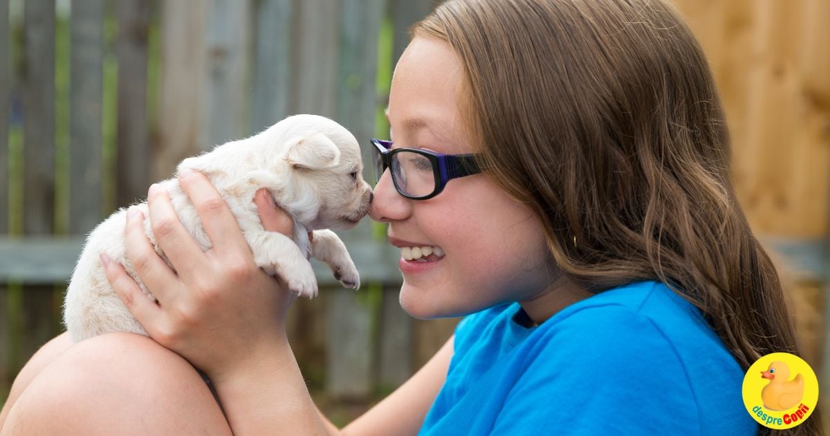 Ce animal de companie ar trebui sa adopte familia ta?  Iata 9 animalute cu pro si contra