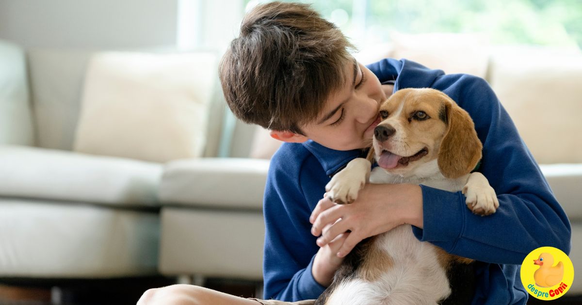 Impactul animalelor de casa asupra copiilor - de la lectii de viata la sursa de invatare si incredere