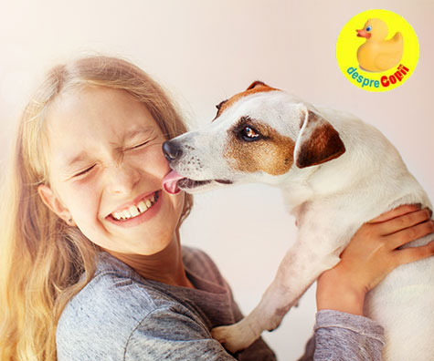 Infectiile transmise de animalele de companie (de casa)