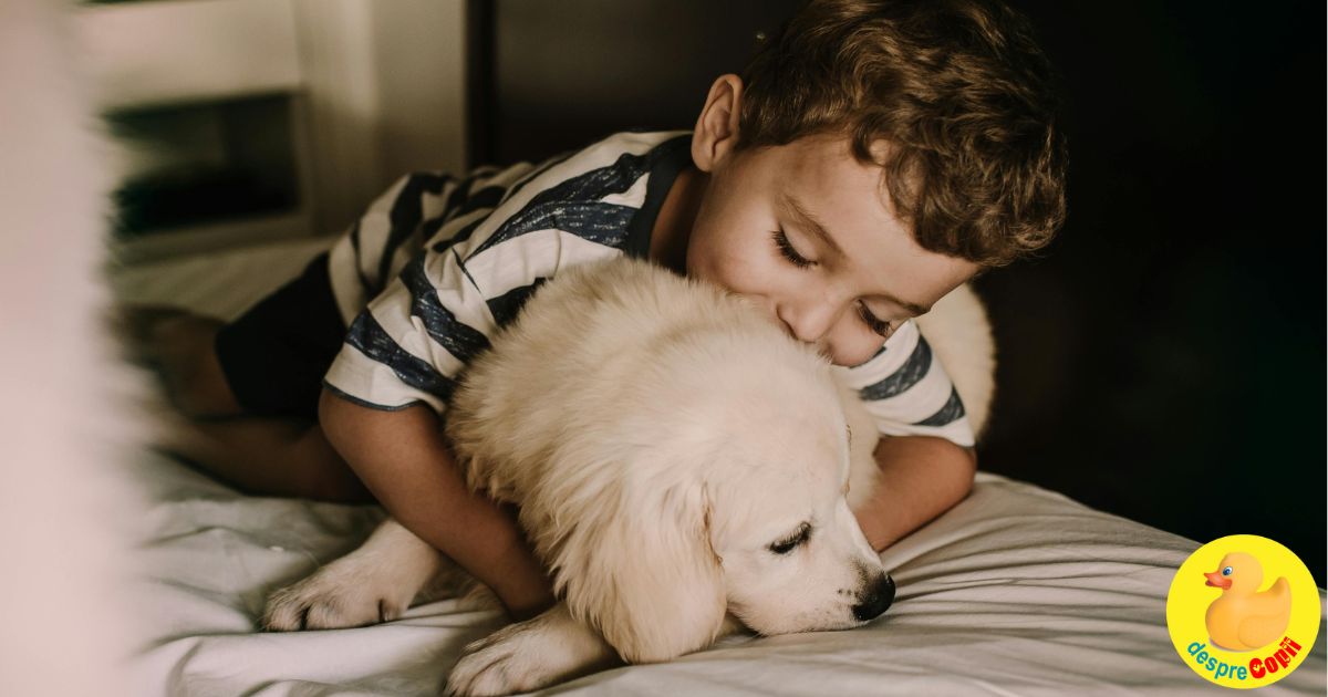 Copilul a vrut animal de companie… dar tu faci toata treaba? Cum ii înveti pe cei mici responsabilitatea, fara certuri si fara predici?