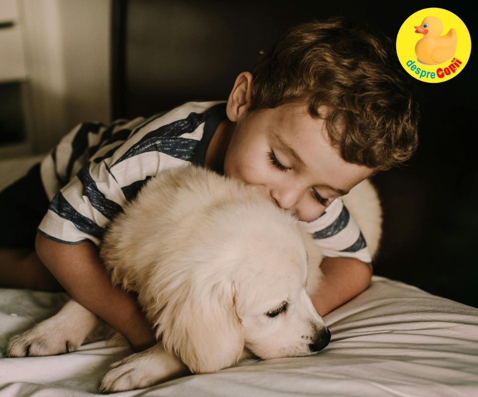 Copilul a vrut animal de companie… dar tu faci toata treaba? Cum ii înveti pe cei mici responsabilitatea, fara certuri si fara predici?