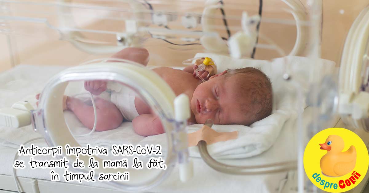 Anticorpii impotriva virusului SARS-CoV-2 se transmit in timpul sarcinii de la mama la fat