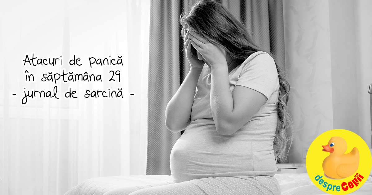 Atacuri de panica in saptamana 29 - jurnal de sarcina