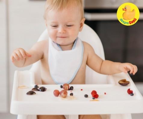 Autodiversificarea alimentatiei si primul ajutor cand copilul se ineaca - primele lucruri de stiut