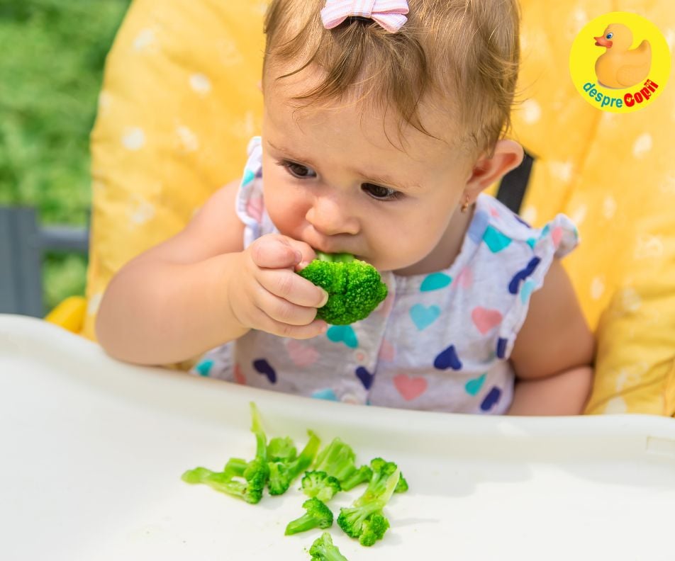 Autodiversificarea alimentatiei si primul ajutor cand copilul se ineaca - primele lucruri de stiut