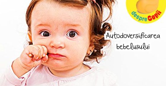 Autodiversificarea: alimente pentru bebelusii fara dintisori