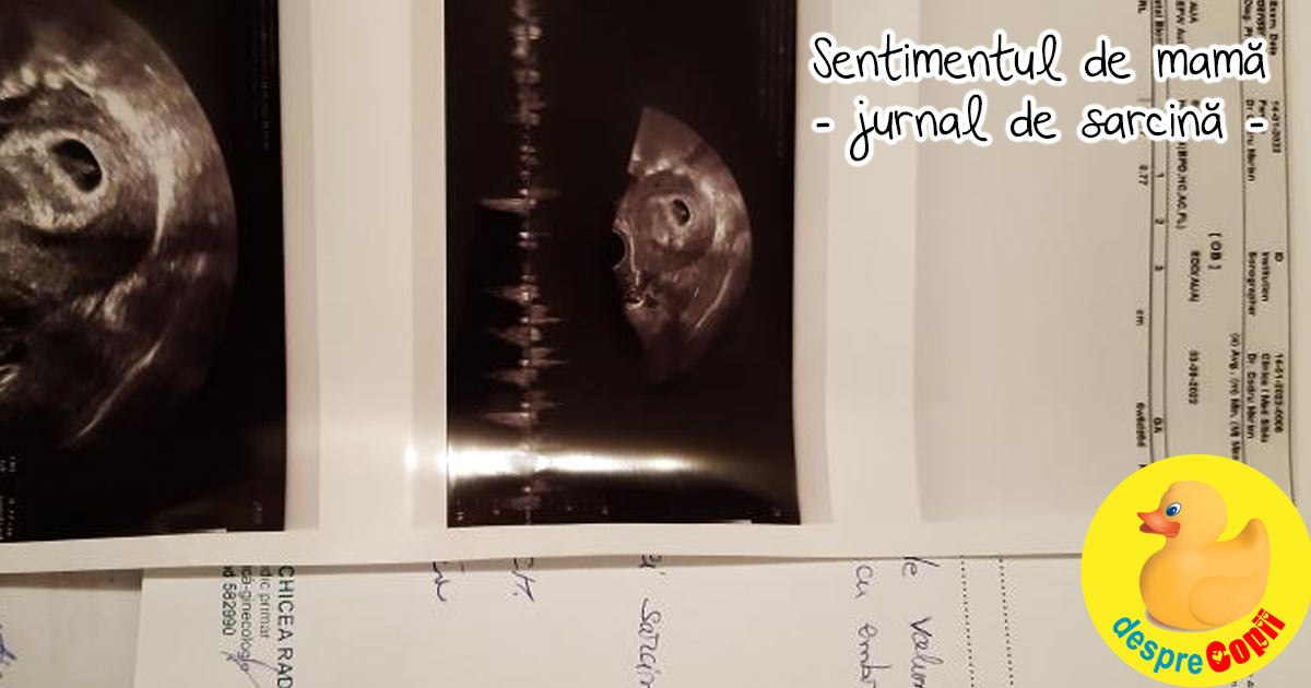 La 39 de ani am cunoscut in sfarsit sentimentul de mama la auzul inimioarei lui bebe dupa  FIV - jurnal de sarcina