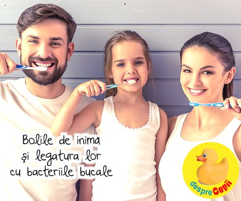Bolile de inima si legatura lor cu bacteriile bucale
