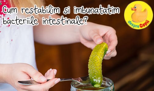 3 moduri de a restabili si imbunatati bacteriile intestinale