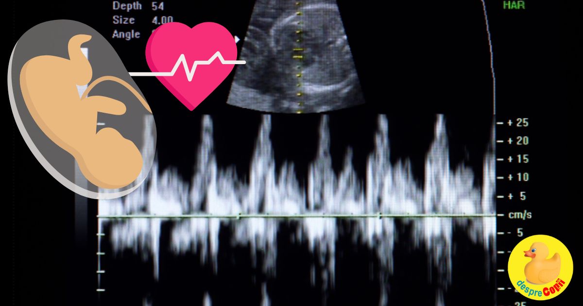 Saptamana 7 de sarcina: cel mai frumos sunet, cel al inimii copilului - jurnal de sarcina