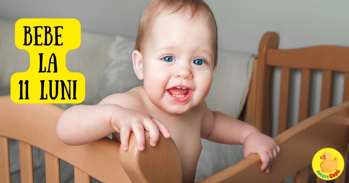 Bebelusul la 11 luni: descopera lumea cu pasi mici si stie ce inseamna NU