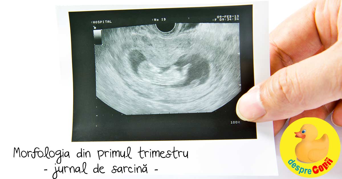 Morfologia din primul trimestru, in saptamana 11 - jurnal de sarcina