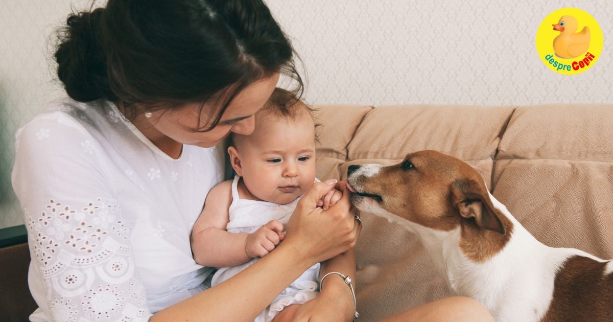 Vine bebe. Trebuie sa renuntam la animalul de companie?