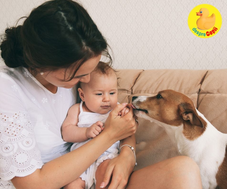 Vine bebe. Trebuie sa renuntam la animalul de companie?