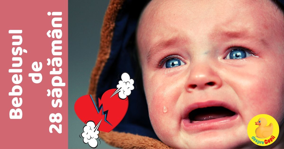 Bebelusul in Saptamana 28 si o noua etapa bifata: anxietatea de separare a bebelusului