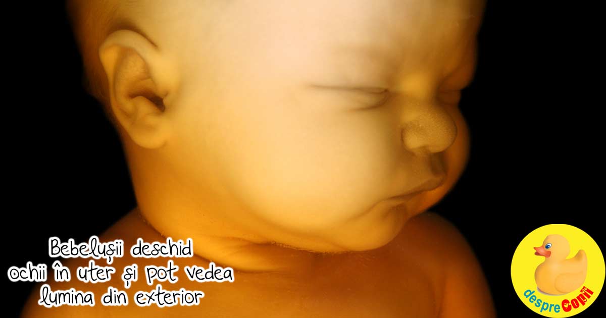 Bebelusii deschid ochii in burtica mamei si pot vedea lumina din exterior