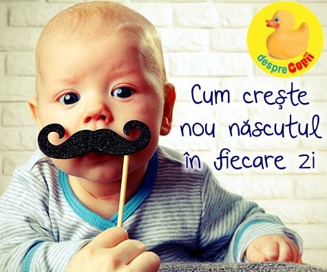 Cum creste nou nascutul in fiecare zi