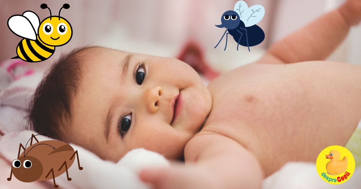 Cum protejam bebelusul de ciupiturile de insecte: care substante sunt recomandate si care nu si ce efecte pot avea - sfatul medicului