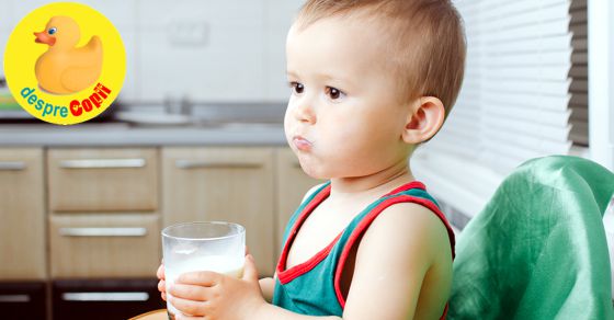 Dupa 12 luni dam copilului lapte praf formula sau lapte de vaca? Iata sfatul medicilor.