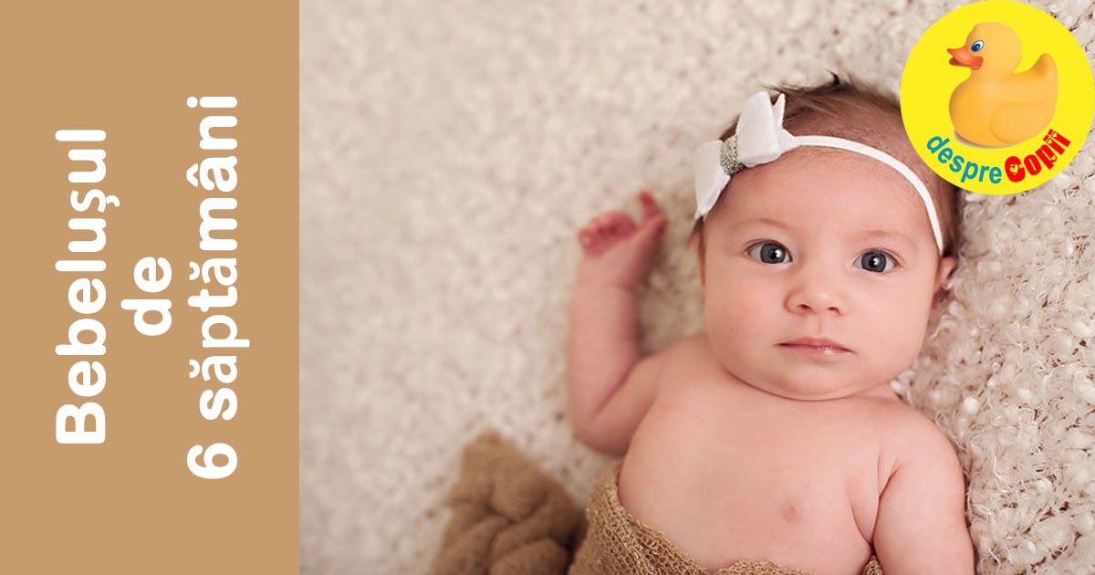 Bebelusul la 6 saptamani: gangurelile sunt in toi si incepe sa isi ridice pieptul pentru a explora in jur. Incepe si vremea botezului
