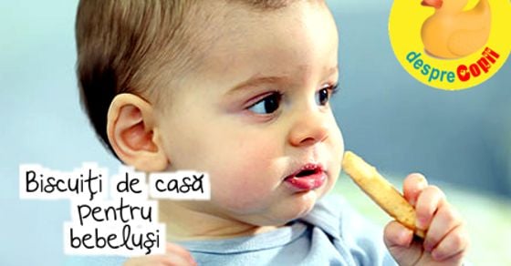 Biscuiti De Casa Pentru Bebelusi 3 Retete Super Sanatoase Si Usor