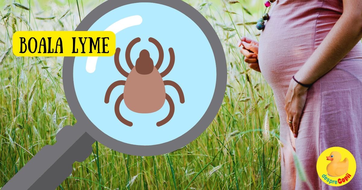 Boala Lyme. Ce trebuie sa stie femeile insarcinate despre boala transmisa de capuse si sfatul medicului
