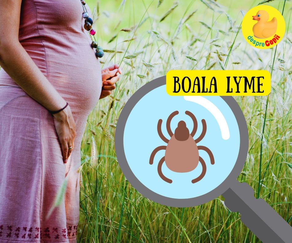 Boala Lyme. Ce trebuie sa stie femeile insarcinate despre boala transmisa de capuse si sfatul medicului 