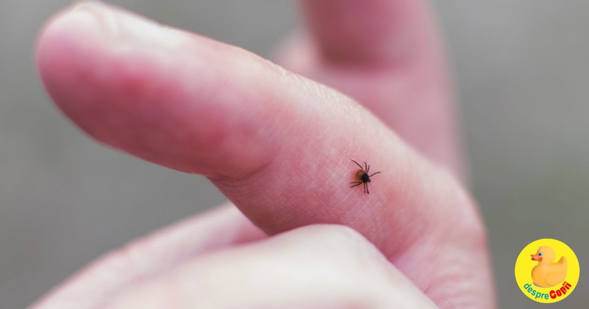 Sezonul capuselor a inceput - iata cum iti protejezi copilul de boala Lyme