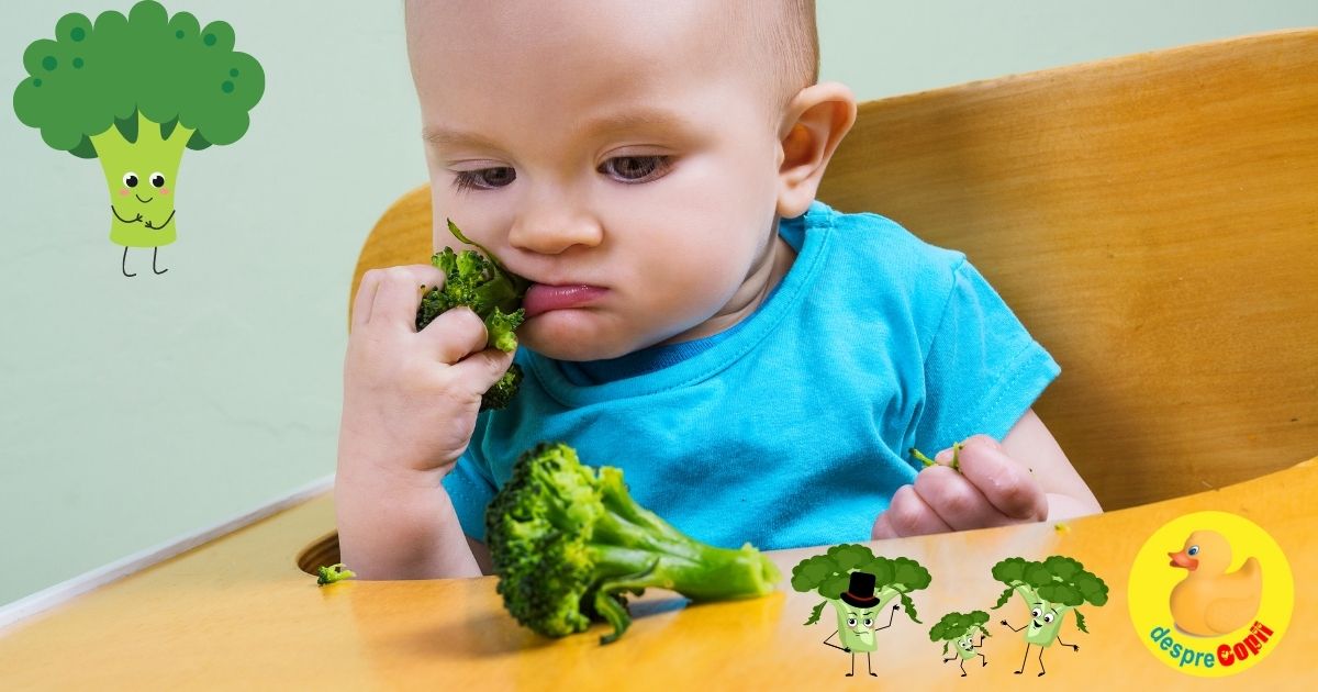 Broccoli in alimentatia bebelusilor -  beneficii si sfaturi de introducere