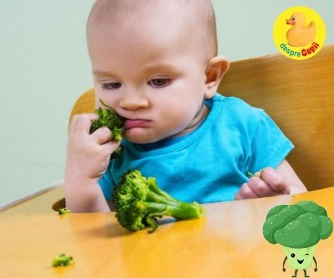 Broccoli in alimentatia bebelusilor. Ce beneficii care si cum si cand il introducem plus retete ideale la inceput de diversificare