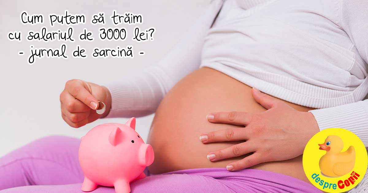 Cum putem sa traim cu salariul de 3000 lei - jurnal de sarcina