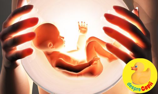 In burtica mamei: miscarile si simturile bebelusului