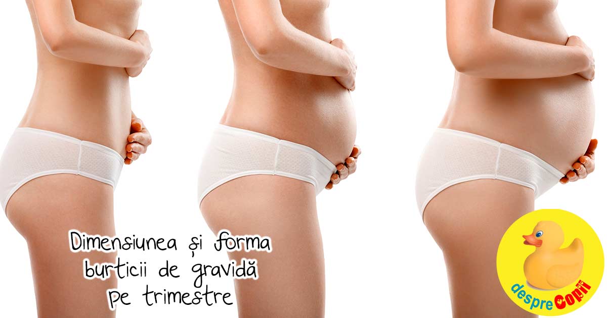 Dimensiunea si forma burticii de gravida pe trimestre - GHID util