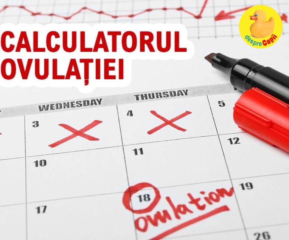 Ovulatia si calculul ovulatiei prin metoda calendarului. Informatii cheie daca iti doresti un copil -  CALCULATOR
