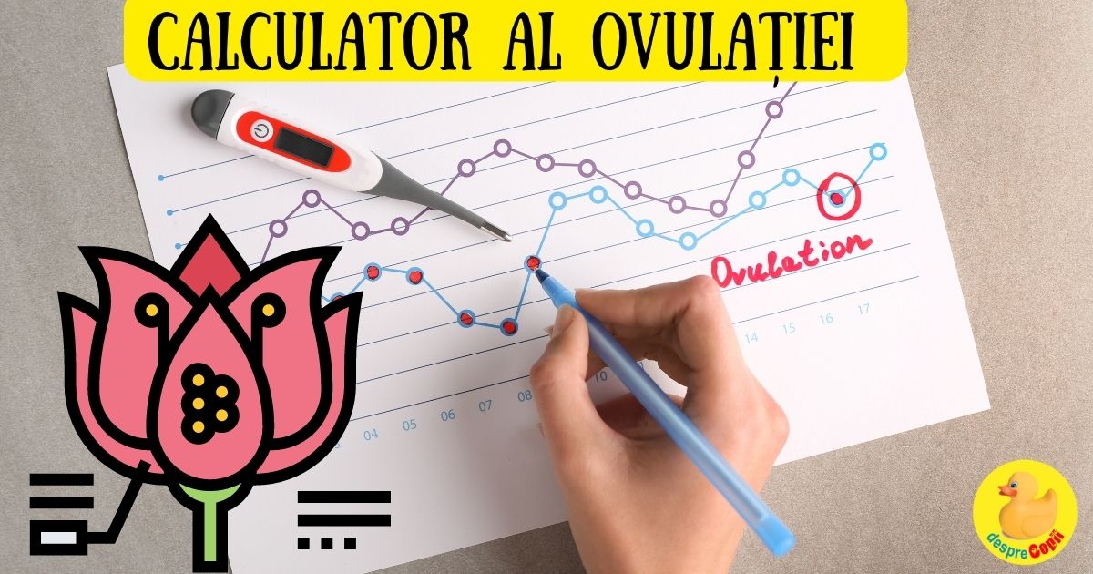 CALCULATOR OVULATIE -  te ajuta sa afli zilele cand poti ramane insarcinata