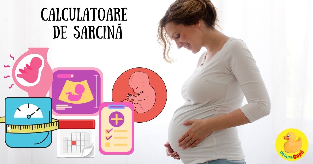 Calculatoare de sarcina colectie de instrumente utile pentru