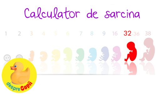 Calculator Sarcina