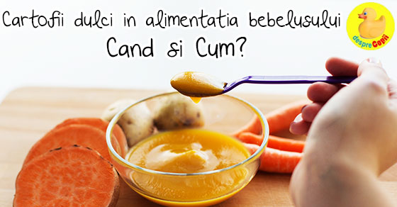 Cartofii Dulci In Alimentatia Bebelusului Cand Si Cum