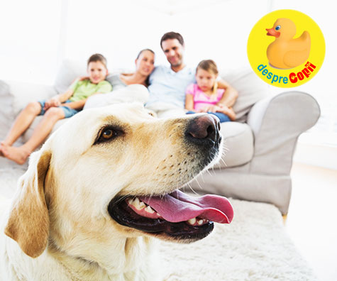 Momente ale vietii noastre cu Ares - labradorul familiei