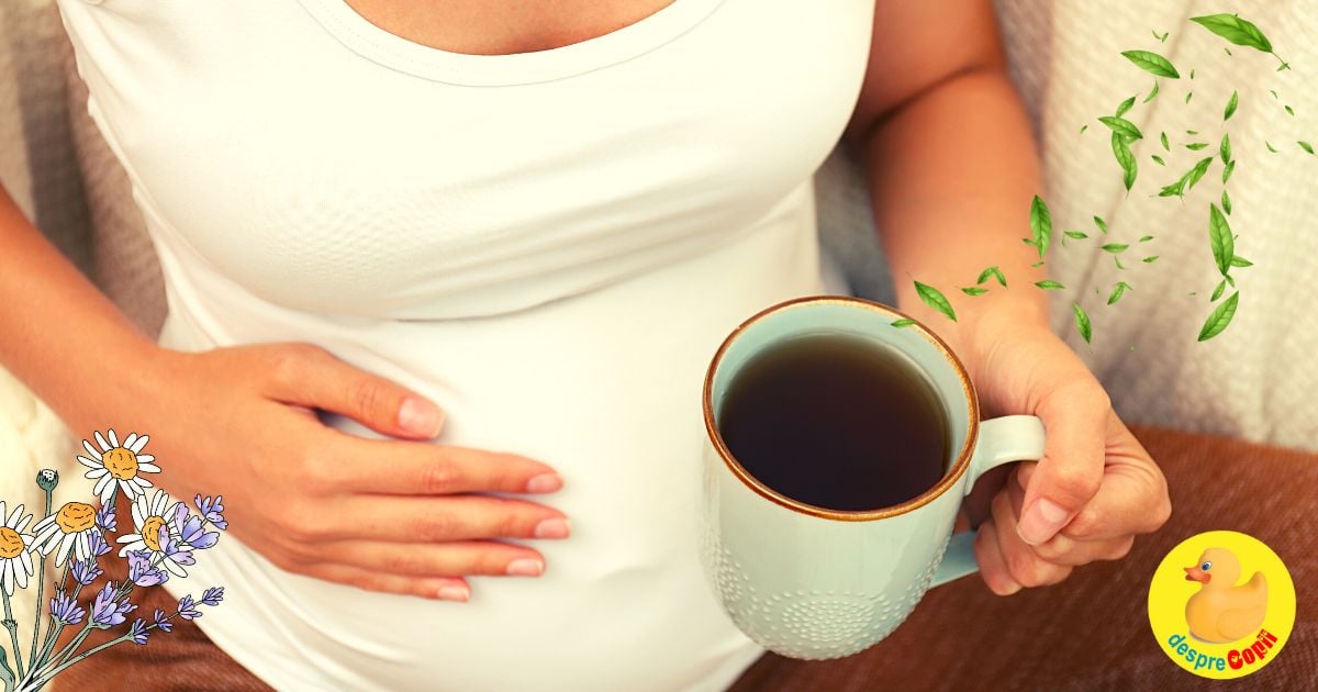 Sunt gravida: pot bea ceai?