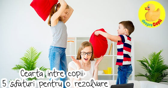 Cearta intre copii: 5 sfaturi pentru o rezolvare calma