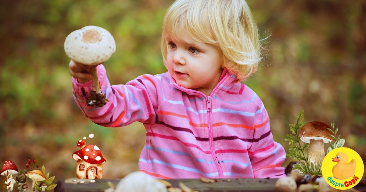 Ciupercile in alimentatia copilului: de la ce varsta si in ce fel
