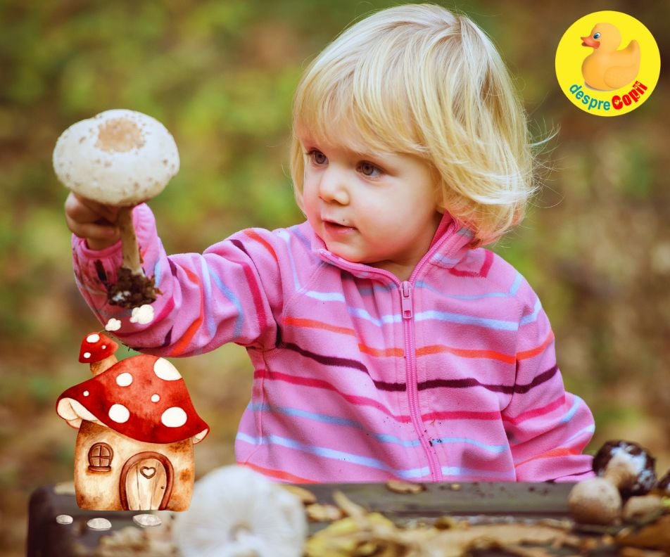 Ciupercile in alimentatia copilului: de la ce varsta si in ce fel