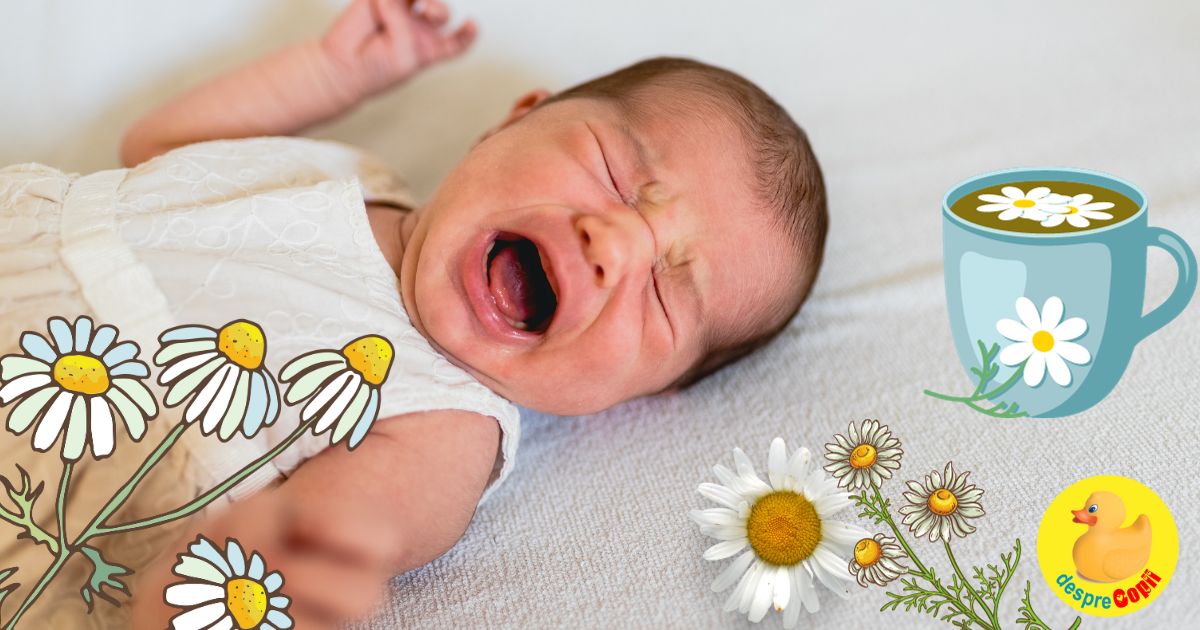 Ceaiul de musetel si colicii bebelusului - parerea specialistilor