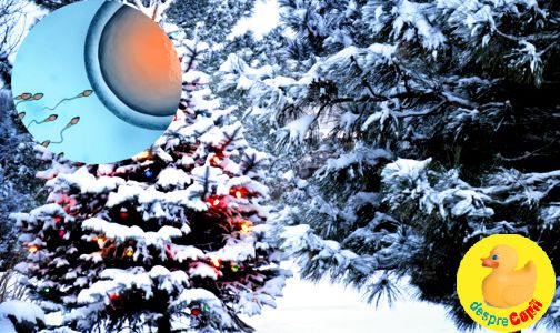Daca vei concepe un copil in luna decembrie: la ce trebuie sa te astepti